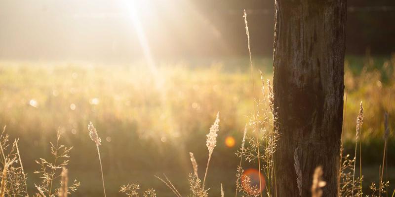 IPv6规模化部署的难点解析与平滑过渡方案：一份给网络技术与开发者的实用资源