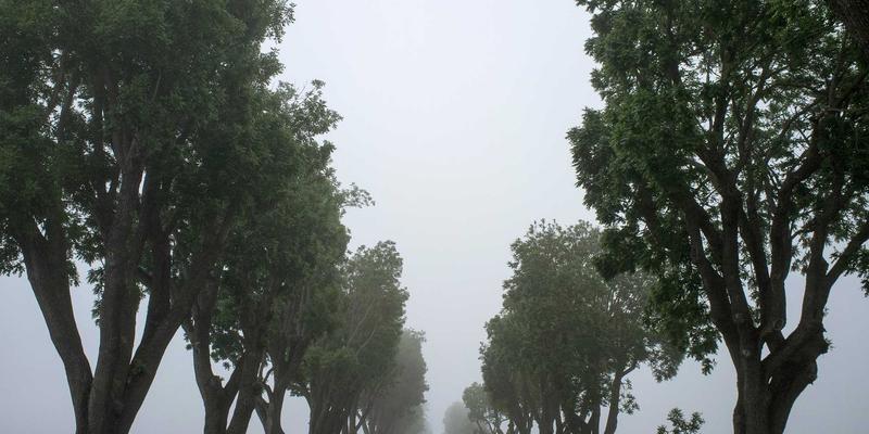 SD-WAN与SASE融合演进：系统运维视角下的网络技术变革