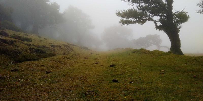 Wi-Fi 6E技术升级：企业无线网络规划与部署实战指南