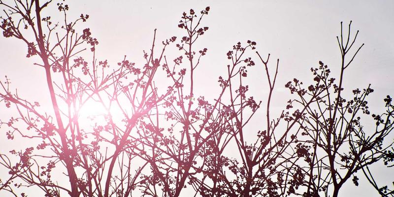 技术博客实战指南：系统运维与网络技术核心攻略