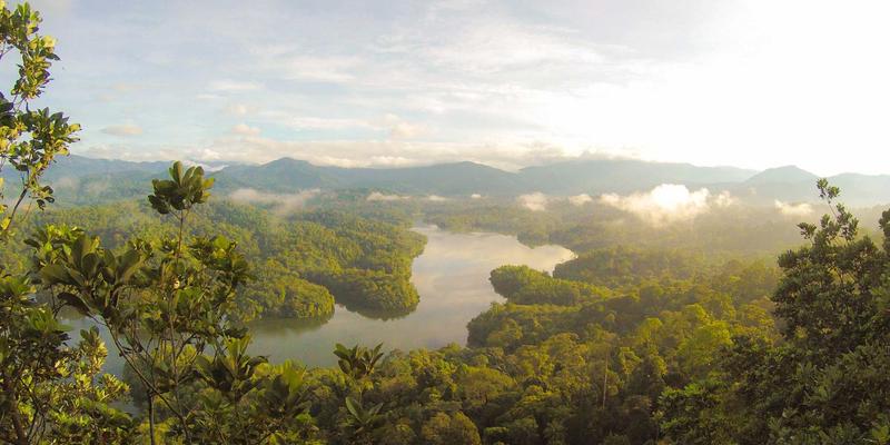 技术博客 | 开放网络与白盒交换机：解耦硬件与软件，如何重塑数据中心成本与灵活性