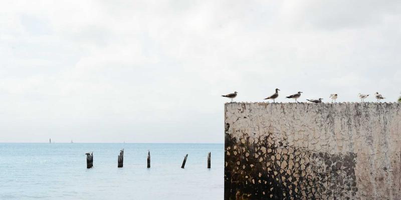 掌握网络技术优势：如何利用学习资源与技术博客实现能力跃迁