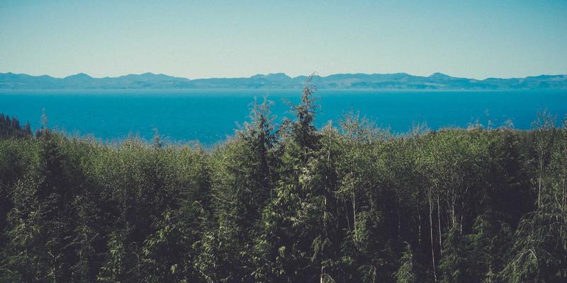 时间敏感网络（TSN）如何重塑工业互联网：系统运维的变革与资源分享