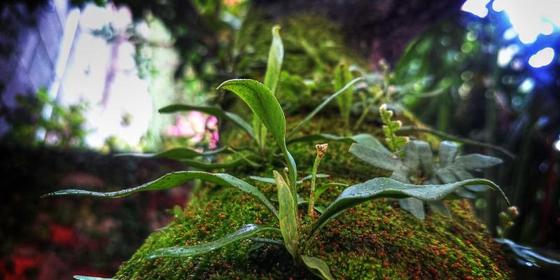 系统运维与网络技术深度解析：资源分享与实战指南