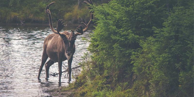 网络性能监控（NPM）与可观测性平台选型攻略：技术博客与学习资源深度解析