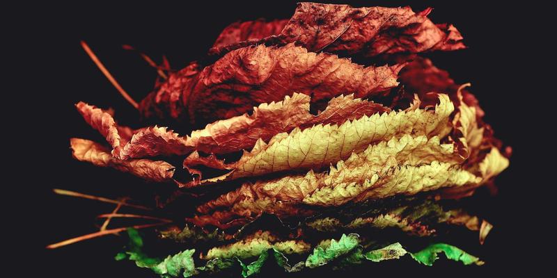 网络技术23：编程开发与系统运维的融合演进