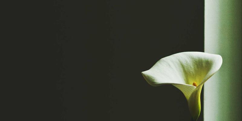 网络技术61：编程开发者的技术博客搭建与网络技术精要