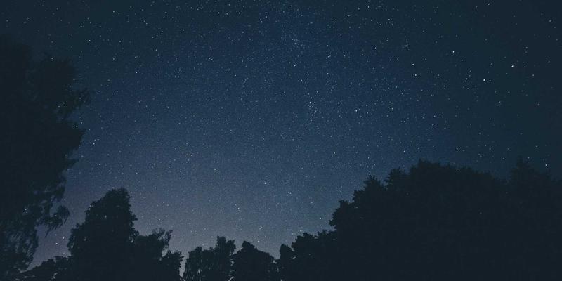 网络技术65:编程开发、学习资源与系统运维的融合之道