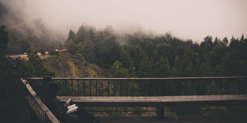 网络技术83：编程开发与系统运维的融合演进