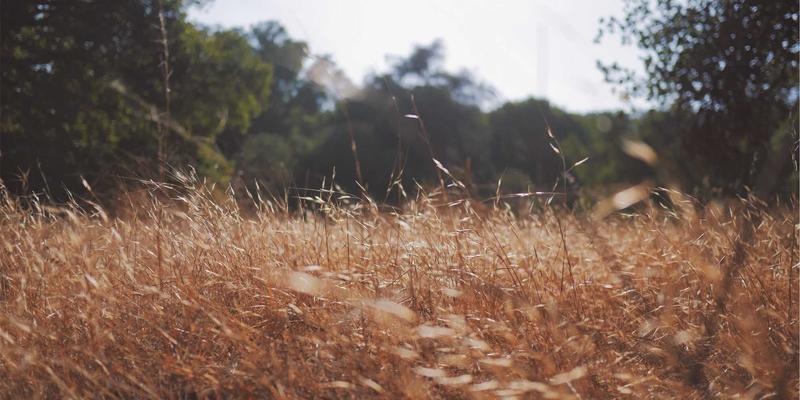 网络技术84:解锁高效学习路径与优质资源分享指南