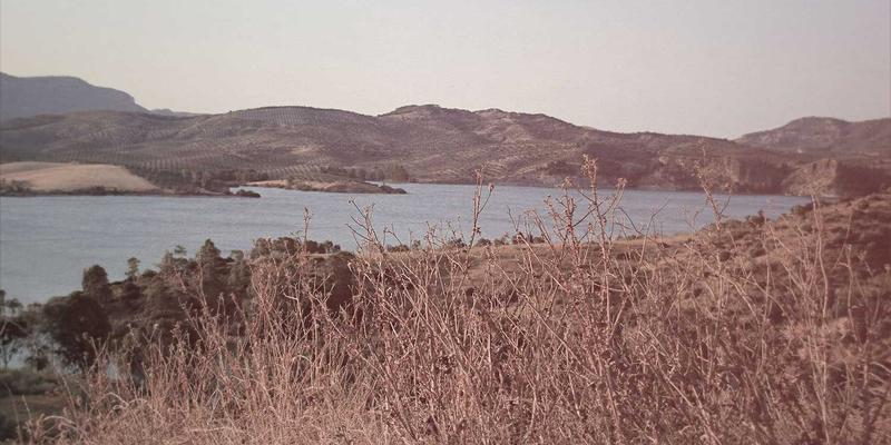 网络技术实战指南：如何通过资源分享与技术博客高效赋能编程开发