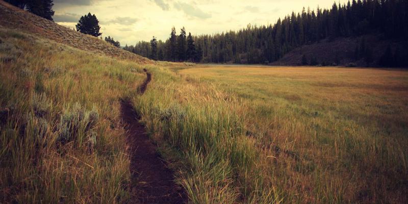 网络技术资源全攻略：编程开发与系统运维的高效进阶指南